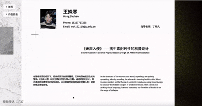 Immersive 2.5D showcase